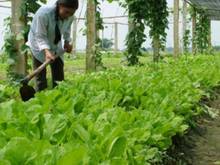 Hình ảnh Bán đất 100m2, ô tô đỗ cửa, Giá 3,3 tỷ, điền xá, sóc sơn  mặt tiền 4m,