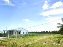 Hình ảnh 203m2 Đất Thổ Cư Mặt Tiền Đường Nhựa 30m - View Sông