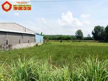 Hình ảnh Bán đất đường võ thị mẹo - 940m2 - 32.9x31 - 300m2 thổ cư - xã phú mỹ