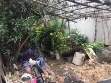 Hình ảnh Bán Đất Nam Từ Liêm - Ngõ 34 Tây Mỗ - DT 58m2 - 2,65 tỷ - Ngõ Rộng