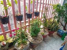 Hình ảnh Nhà Đỗ Xuân Hợp.3PN và ban công rất đẹp.XHX ôtô vào nhà.giá rẻ 3tỷ65