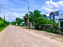 Hình ảnh Cần bán vườn dừa xã Gia Canh sổ sẵn, sát bên Thị trấn Định Quán