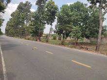 Hình ảnh 1000m2 đất mt ( ngay ngã 4 giao lê văn quới), bhh a, bình tân. dt