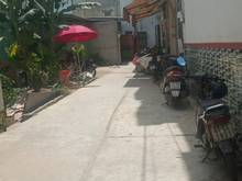 Hình ảnh Cần bán gấp lô đất trên đường TCH 08  P.TCH, DT: 4x20m