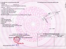Hình ảnh Bán Gấp Lô đất sào 1000m2 đất 2 mt ngay đường 65m giá Trang MB66.COM Chính Thức - MB 66 Uy Tín F0, 470tr