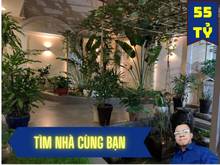 Hình ảnh ✅  Biệt thự Hồ Biểu Chánh Phú Nhuận - 232m2 chỉ 55 tỷ