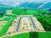Hình ảnh Đất nền nghĩ dưỡng view đồi chè cực đẹp tại Tp. Bảo Lộc. 690Tr