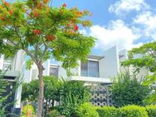 Hình ảnh Chuyển nhượng lại căn biệt thự biển Oceanami với giá 7tỷ/280 m2.