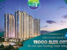 Hình ảnh Bán Căn 2pn Toà B Tecco - Đẳng Cấp Vươn Xa Mong Đợi