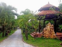 Hình ảnh Đất Mặt Tiền Bình Mỹ Củ Chi 70m x100m-7000m2 Chỉ 70 Tỷ