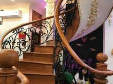 Hình ảnh Bán hotel 3sao , Hồng Hà Bạch Đằng , p2 . Tân bình 420m2
