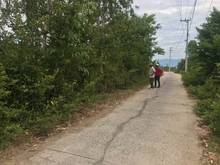 Hình ảnh Bán 1100 m đất tại Ninh hòa- Khánh hòa-chỉ 450 triệu. đất trồng cây-Xe