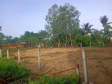 Hình ảnh Lô Hoa Hậu Cực Đẹp 20x52m , Xuân Hòa , Xuân Lộc, Đồng Nai.