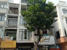 Hình ảnh Bán Nhà MT Hai Bà Trưng Q1 DT 4 x 25m 4 lầu  Vị trí đẹp. Giá 41 tỷ