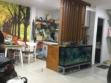 Hình ảnh 🌺Chính chủ cần bán gấp nhà ĐẸP, 3 tầng Âu Cơ P10 Tân Bình chỉ 3.1 tỷ