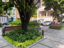 Hình ảnh Bán nhà 2 MT trước sau khu biệt thự 781 Lê Hồng Phong P.12 Q.10