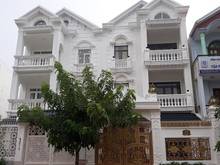Hình ảnh Biệt thự đường Nguyễn Minh Hoàng, P.12, Tân Bình, 8x17m, hầm + 3 lầu