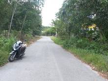 Hình ảnh Bán đất Fo, Long Nguyên, Bàu Bàng, DT:5x50, TC100m2, SHR, 1,550 tỷ