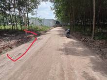 Hình ảnh Bán đất Sào Long Nguyên, Bàu Bàng, DT:12x109, SHR, giá 2,3 tỷ