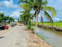 Hình ảnh Đất view sông vị trí đẹp giá tốt tại TT.Đức Hòa - Long An