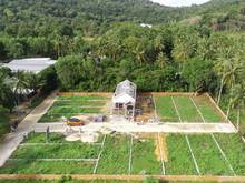 Hình ảnh Đất nền sổ riêng đường ĐT 975, Phú Quốc - Tiềm năng sinh lời cao