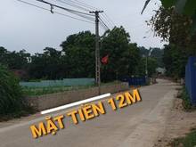 Hình ảnh Cần bán GẤP đất Ba Vì - Làn 2 TL87 - 12m mặt tiền bám trục chính