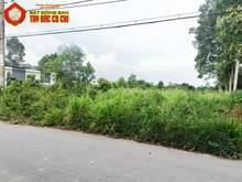Hình ảnh Bán đất đường Bến Súc - 1083m2 - 20x53 - 58m2 thổ cư - xã An Phú