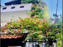 Hình ảnh bán villa đường nguyễn đình chiểu, phường 5. Q 3 (6,5x150)3L giá 21T