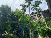 Hình ảnh Bán biệt thự ngõ phố Bạch Đằng, Hoàn Kiếm phù hợp làm Homestay