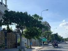Hình ảnh Bán nhà LÊ VĂN LƯƠNG Đường 12M, 4T, 56m2. Ở + KD. CHỈ 3.9 TỶ