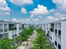 Hình ảnh Trực tiếp từ CĐT-Dự án The Standard, Tân Uyên, Chỉ 1.5tỷ, CK 14%