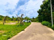 Hình ảnh Đất vườn view đẹp có ao hồ, giá rẻ hơn so với thị trường