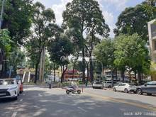 Hình ảnh Cho thuê 10 Phạm Ngọc Thạch,P6,Q3_ DTSD: 810m2_ Giá thuê: 900tr/th