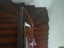 Hình ảnh Bán nhà phố cổ, Hàng Muối 65m2 , 5t , mặt tiền 5.4 , 34tỷ