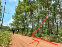 Hình ảnh DT 17.45×63m(1120m) MT 8m đầy đủ dân, điện nước, Lộc Tấn Lộc Ninh