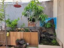 Hình ảnh Chính chủ cần bán gấp nhà mặt tiền hẻm HXH đường Tô Hiến Thành; 45,3m2