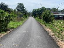 Hình ảnh Đất Tân Hòa, Tân Bình, TP Tây Ninh. Giá chỉ từ 6xx tr