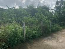 Hình ảnh bán lô đất đường bê tông hòa long