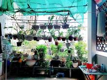 Hình ảnh Bán nhà HXH Lê Hồng Phong Phường 1 Quận 10 46m2 chỉ 8.98 tỷ.