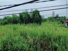 Hình ảnh Bán Đất Đường Bưng Ông Thoàn, P. Phú Hữu, Quận 9, 4020m2, Chỉ 48 tỷ