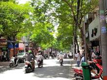 Hình ảnh Siêu to khổng lồ! Tòa Apartment Lê Văn Sỹ, P12, Q3. DT: 16x17m.