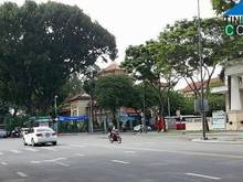 Hình ảnh Độc nhất vô nhị! Mặt tiền đường Nguyễn Bỉnh Khiêm, Đa Kao.