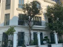 Hình ảnh Cho thuê tòa nhà Văn Phòng dt 150m x5t + 1 hầm,mt 14m, giá 70tr/th