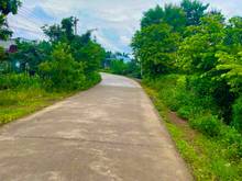 Hình ảnh Chính chủ bán gấp mảnh vườn xoài view đẹp giá hạt dẻ