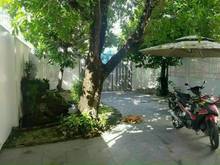 Hình ảnh Bán Lô Biệt Thự Góc 2 mặt tiền đường, gần chợ Tân Lập, P.BTĐ, Quận 2.