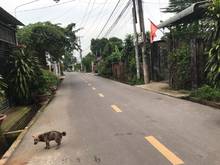 Hình ảnh bán đất mt nhựa ,thổ cư ,khu đông dan cư ,sổ hồng riêng