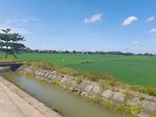 Hình ảnh Bán nhanh lô đất điện tiến view lúa cạnh dòng kênh cực đẹp giá chỉ 4tr