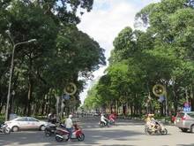 Hình ảnh Chỉ 35 tỷ! Mặt tiền khu Phạm Ngọc Thạch, Q3.