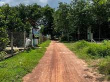 Hình ảnh Bán đất Long Hòa, Dầu Tiếng, DT:5x23, SHR, giá chỉ 670 triệu