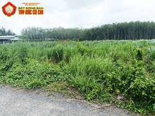 Hình ảnh Bán đất đường Đào Thị Thơm - 892m2 - 20x46 - 300m2 thổ cư - xã An Nhơn